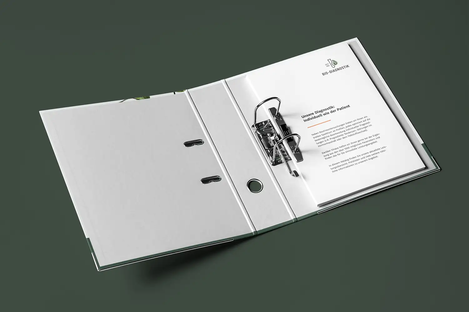 melody-clemons-design-services-graphic-design-bd-healthcare-pricing-catalogue-open