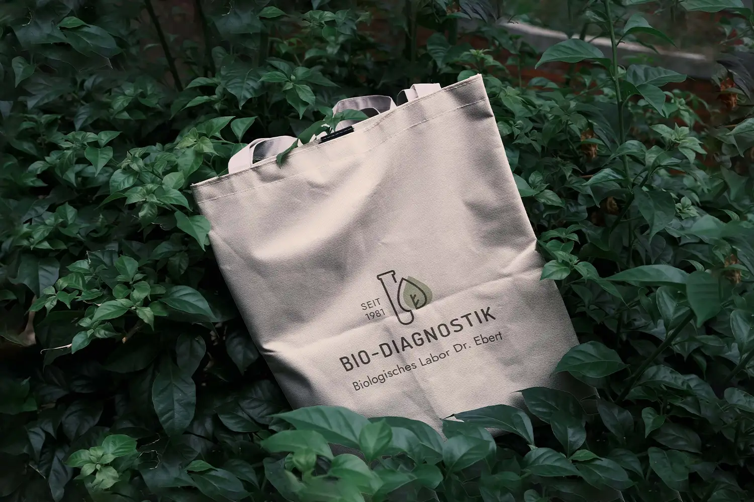 melody-clemons-design-services-graphic-design-bd-healthcare-bag