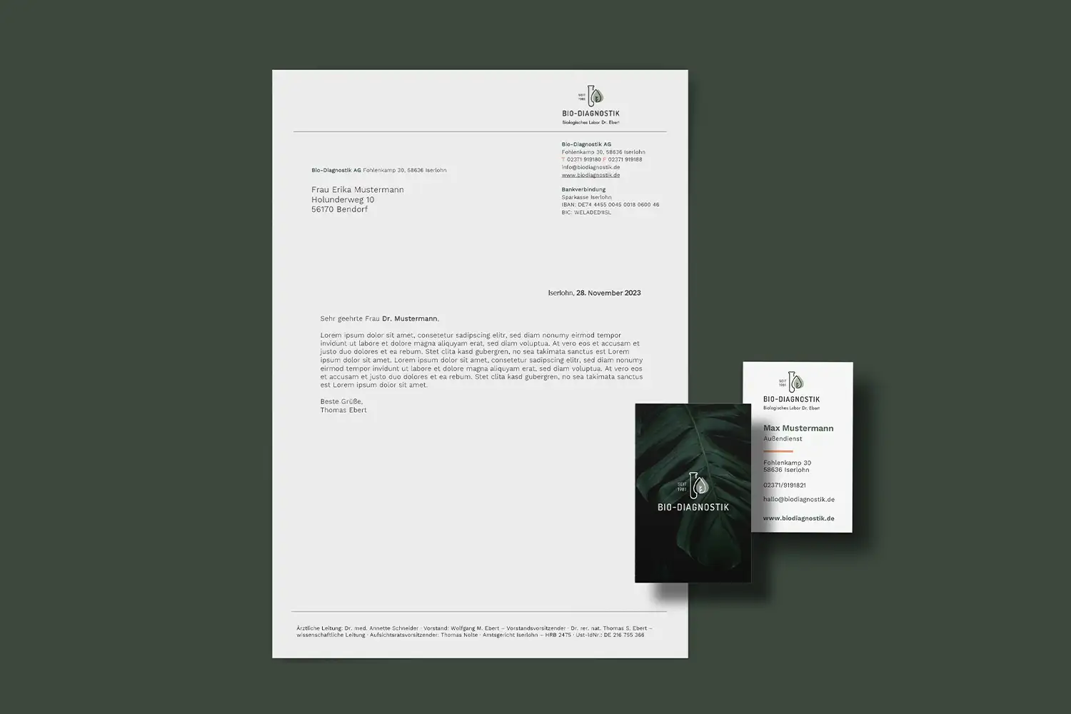 melody-clemons-design-services-graphic-design-bd-healthcare-letterhead