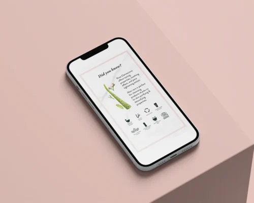 melody-clemons-design-services-graphic-design-nae-instagram-story-highlights-pink