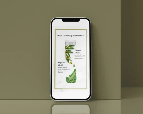melody-clemons-design-services-graphic-design-nae-instagram-story-highlights